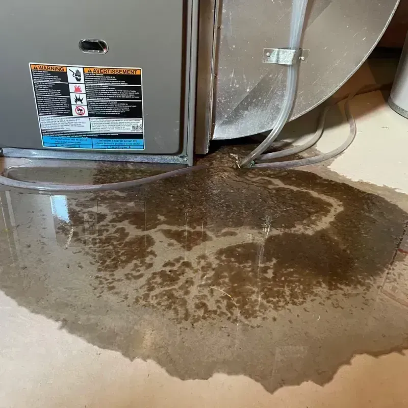 Appliance Leak Cleanup in Monroe County, IL